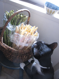 asperge02.jpg